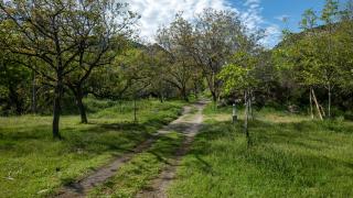 Habitación en Granja Ecológica - 2