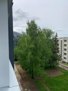 Žvėryno studija - Vilna - 1