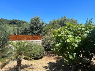 Villa Amalthee - Lambiní - 1