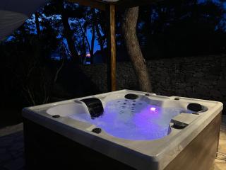 Villa Pinus - Stari Grad - 7