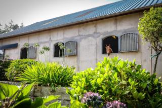 Le Cottage de la Doucette - 1