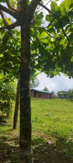 Boca Tapada Rainforest - Boca Tapada - 1