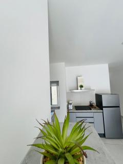 Amnesia Apartment - St Paul's Bay - 3