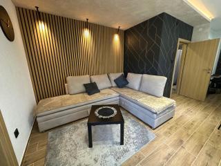Apartman Pavlović Lux - Soko Banja - 2