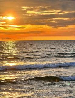 Canaan Beach Resort - Phu Quoc - 5