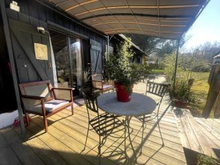 La grange sous les pins landais - 8