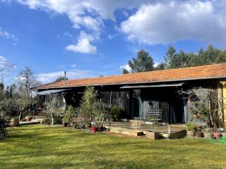 La grange sous les pins landais - Pissos - 1