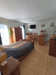 Studio cosy tout confort - Amélie-les-Bains-Palalda - 0