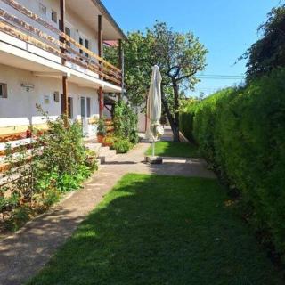Vila Anda - 7