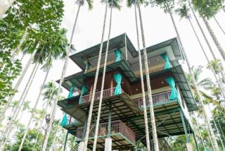 GreensVista Wayanad AC Pillar Homestay near Natural Stream - Sultan Bathery - 9