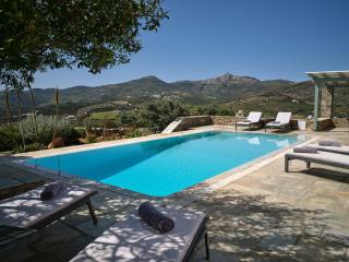 Villa Joy with private pool, close to Naoussa - Kóstos - 5