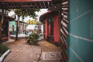 Hotel Miconia - 3