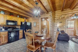Pine Cone Cabin - Gatlinburg - 1