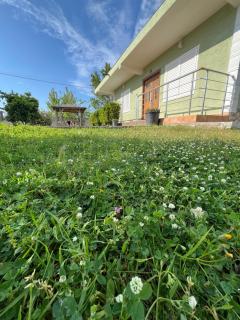 OLIVE Home - Durrës - 1