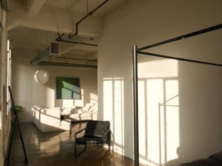 Lofts of downtown - Los Angeles - 8