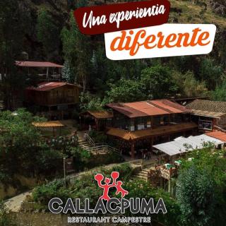 Rupestre Callacpuma Lodge - Llacanora - 7