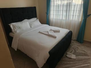 Rawin homes - Homa Bay - 6