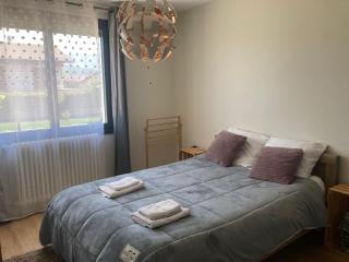 VILLA DES JASMINS - APPARTEMENT AVEC PISCINE PRIVEE- Entrelacs - Albens - 1