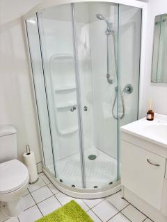 Luxurious Loft - Close to it all ! - Auckland - 5