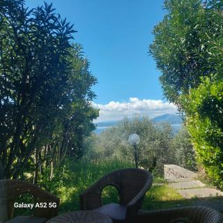 Alma - Torri del Benaco - 9