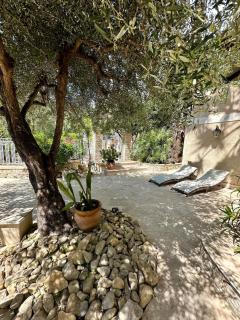 Villa Miron - Menton - 1