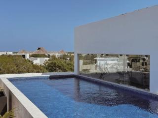 2 beds Gym and pool - Tulum - 8