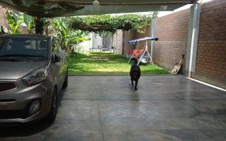 Casa de campo en Chincha - 7