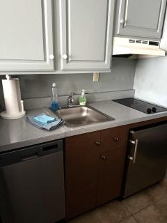 Gorgeous 1st FL Mtn View Jiminy Suite Sleeps 4 Ski On Off - Hancock - 5
