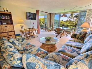 Maui Kaanapali Villas A412 - Lahaina - 9