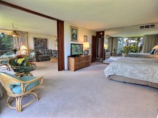 Maui Kaanapali Villas A412 - Lahaina - 7