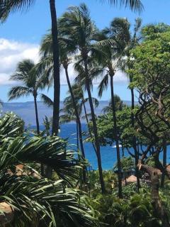 Maui Kaanapali Villas A412 - Lahaina - 2