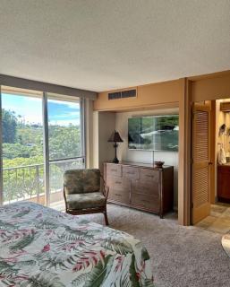 Maui Kaanapali Villas A414 - Lahaina - 8