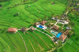 Villa Sande - Munduk - 0