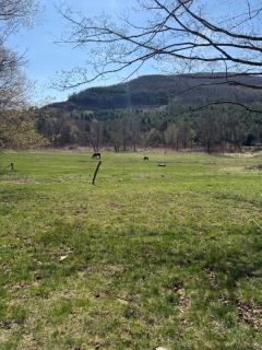 Walnut Grove - - 7
