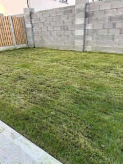 Cosy and beautiful home Vegetarians only - Feevaghmore - 2