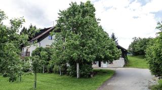 Holiday house with a parking space Prezid, Gorski kotar - 24140 - Tršće - 8