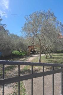 Apartments by the sea Tkon, Pasman - 24280 - Tkon - 5