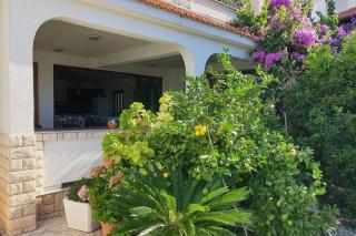 Apartments and rooms by the sea Palit, Rab - 24303 - Rab - 8