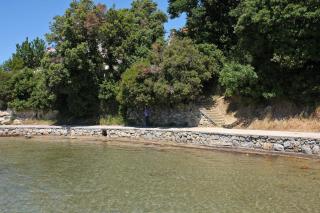 Apartments and rooms by the sea Palit, Rab - 24303 - 5