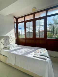 Deniz villa - Sarajevo - 3