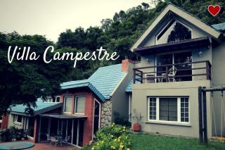 Villa in the Forest - Mont Ventoux - 0