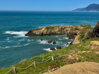 Abalone by OceanviewHotTubs Oceanfront Shelter Cove Tesla - - 7