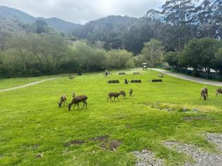 Beachy 1BR Escape with Sofa Bed - Golf & Beach Nearby - Pacifica - 3