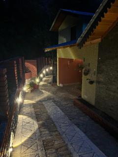 Dhruvis Nest Nainital - 0