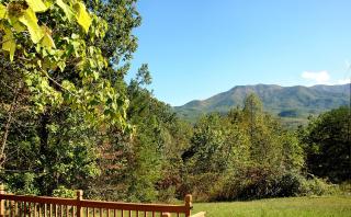 Carrie's Cabin - Cosby - 8