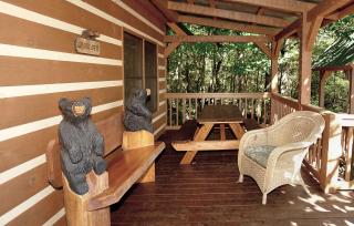 Carrie's Cabin - Cosby - 7