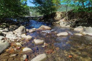 Creek Heaven - Cosby - 5