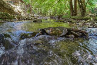Creek Heaven - Cosby - 4