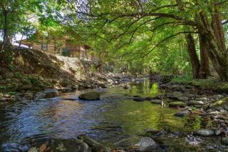 Creek Heaven - Cosby - 3