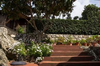 Villa Ida Bed & Breakfast - Terracina - 7